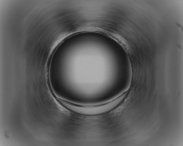 X0000091171430200709060924