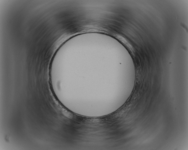 X0000091171431200709060924