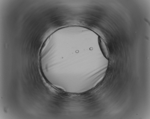 X0000091171439200709060924