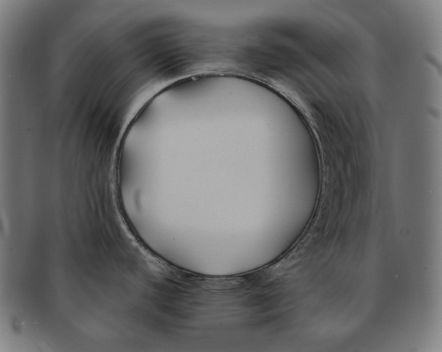 X0000091171440200709060924