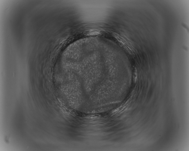 X0000091171441200709060924