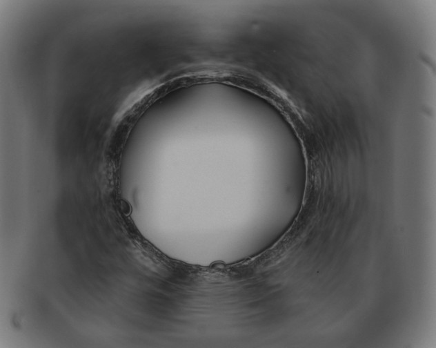 X0000091171448200709060924