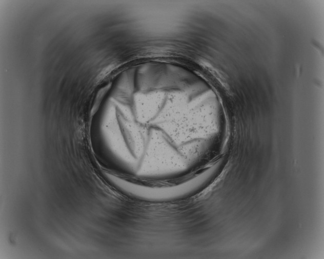 X0000091171449200709060924