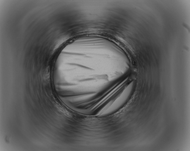 X0000091171450200709060924