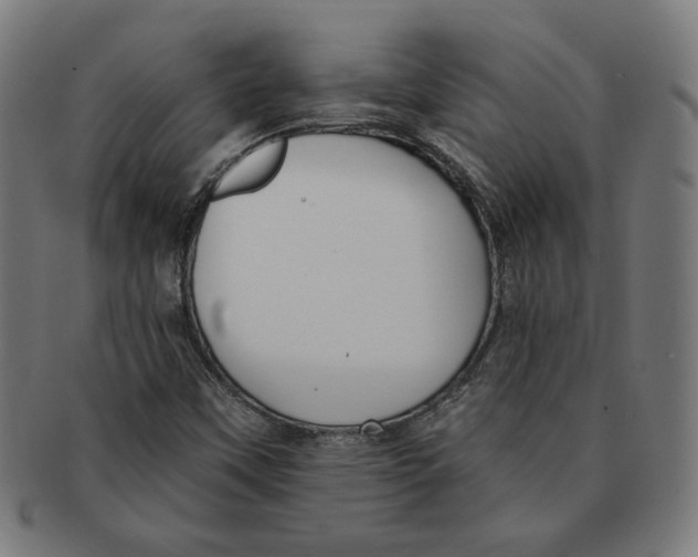 X0000091171451200709060924