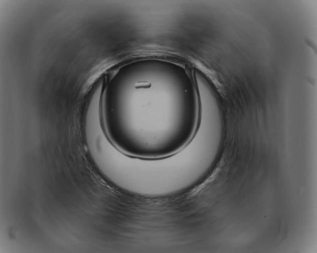 X0000091171453200709060924