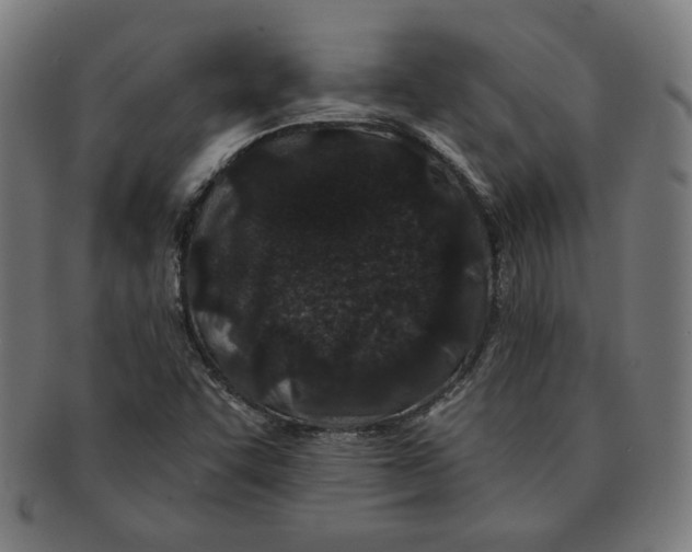 X0000091171455200709060924