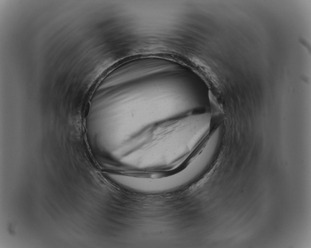 X0000091171457200709060924