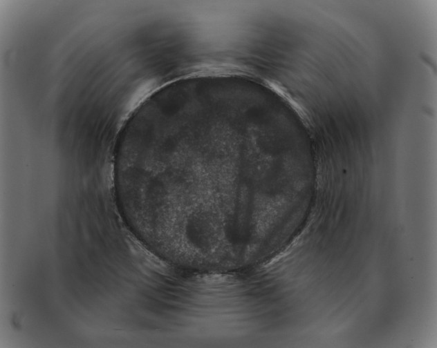 X0000091171459200709060924