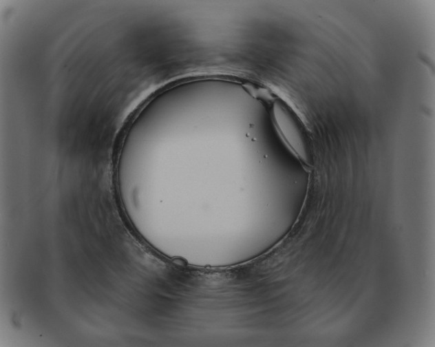 X0000091171460200709060924