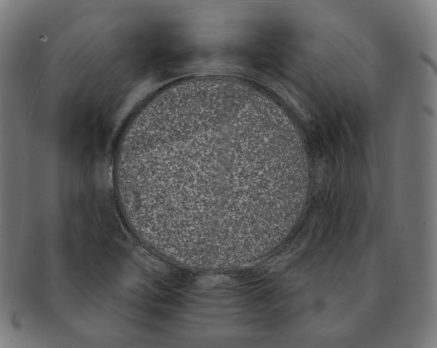 X0000091171462200709060924