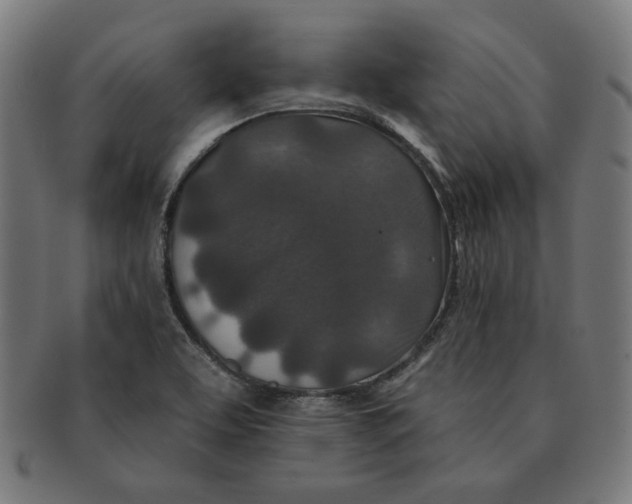 X0000091171463200709060924