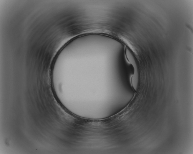 X0000091171468200709060924