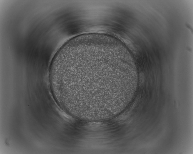 X0000091171470200709060924