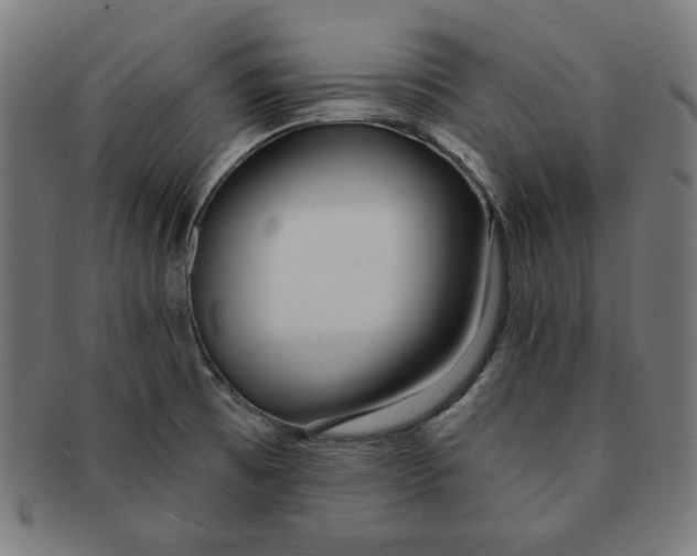 X0000091171473200709060923