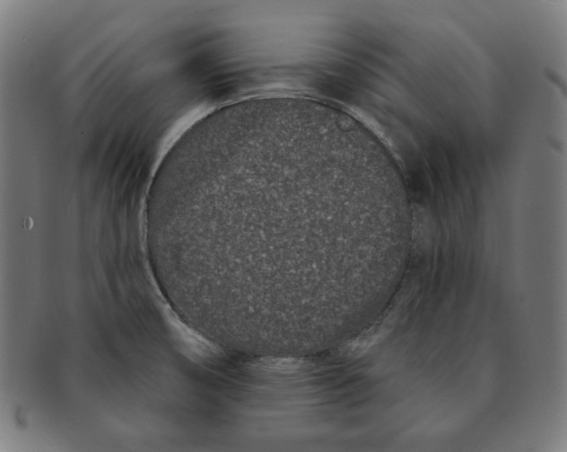 X0000091171474200709060923