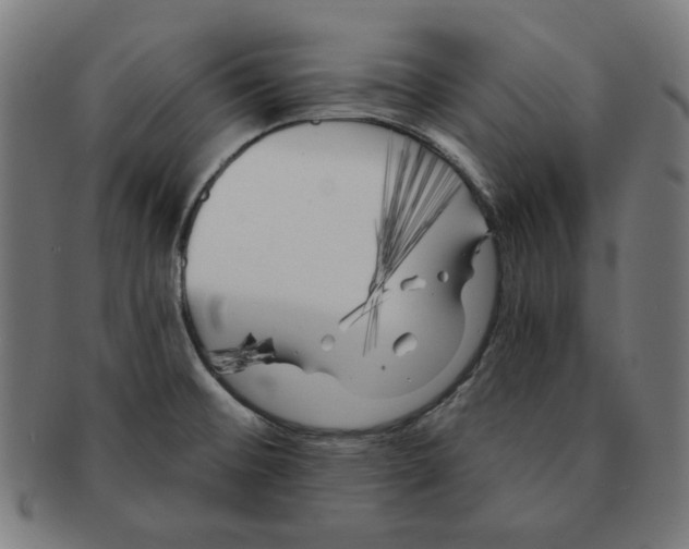 X0000091171476200709060923