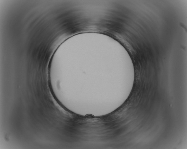 X0000091171479200709060923