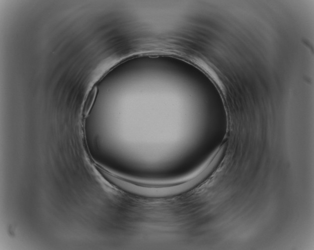 X0000091171485200709060923