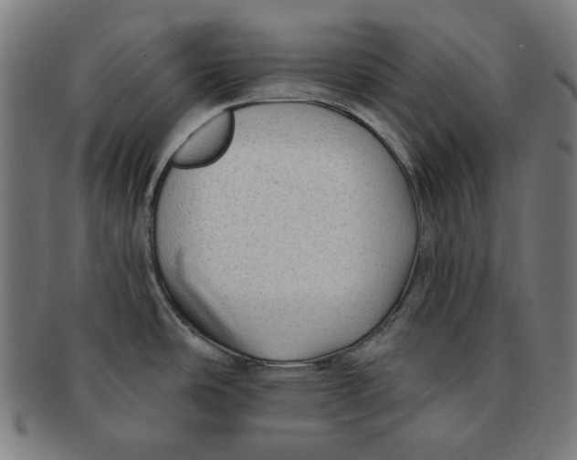 X0000091171486200709060923