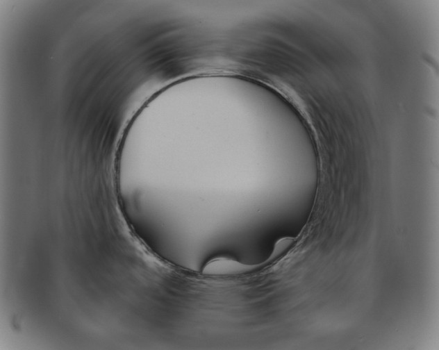 X0000091171488200709060923