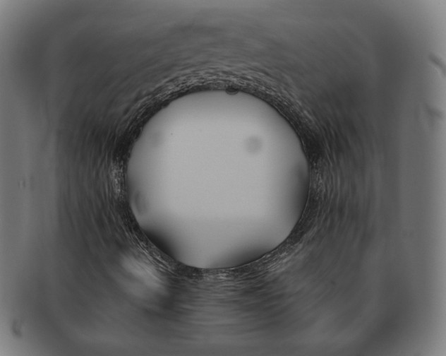 X0000091171490200709060922