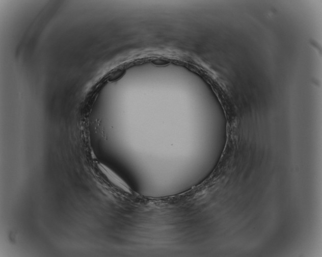 X0000091171496200709060922