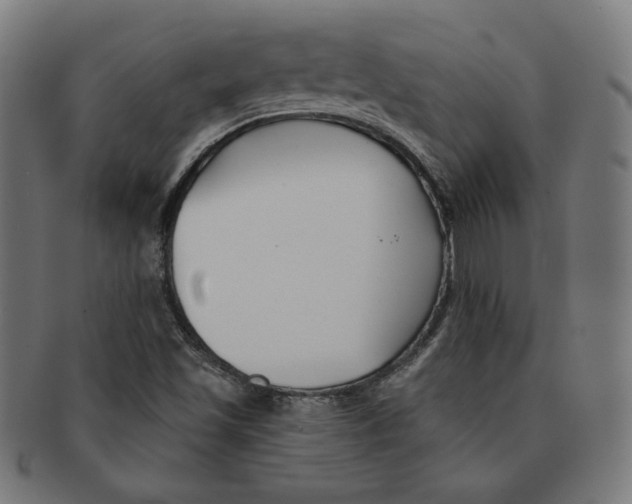 X0000091171501200709060923