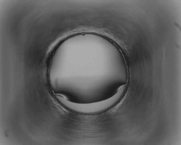 X0000091171502200709060923