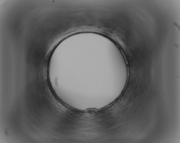 X0000091171504200709060923