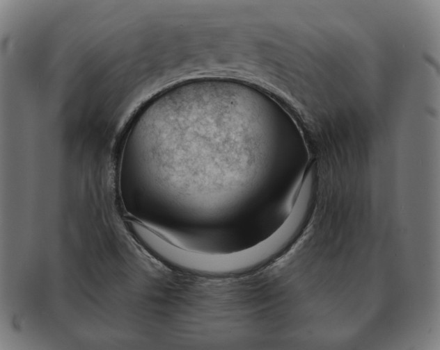 X0000091171506200709060923