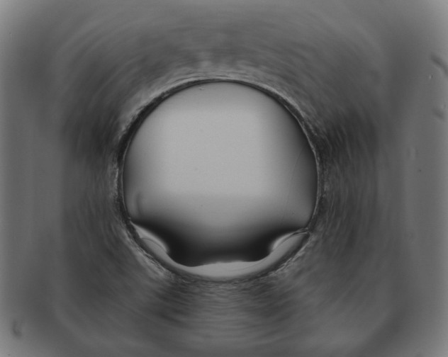 X0000091171507200709060923