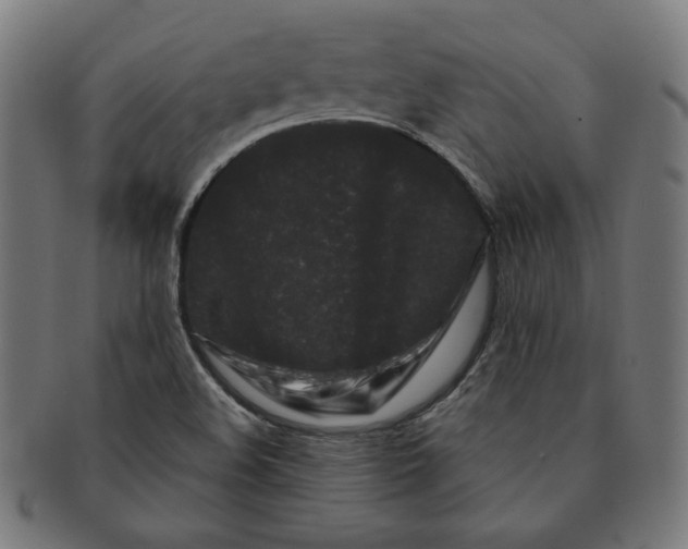 X0000091171508200709060923