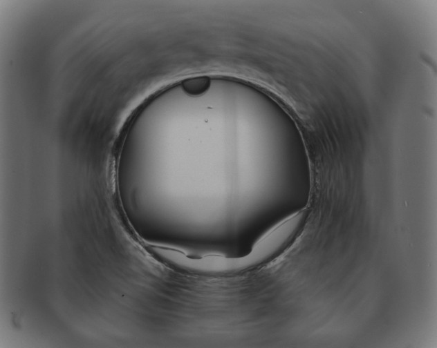 X0000091171510200709060923