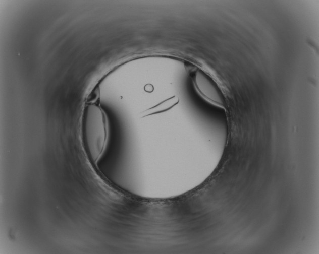 X0000091171512200709060923