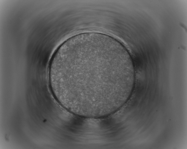 X0000091171514200709060923