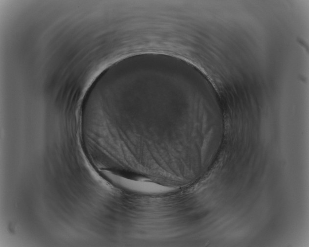 X0000091171515200709060923