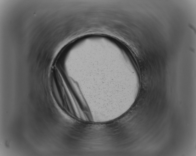 X0000091171519200709060923