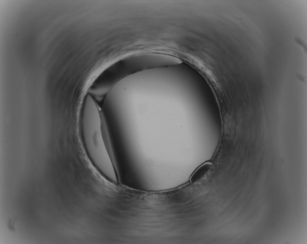 X0000091171520200709060923