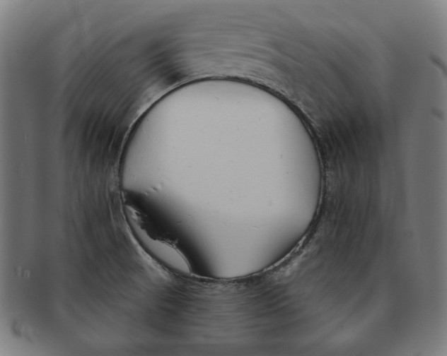 X0000091171521200709060923