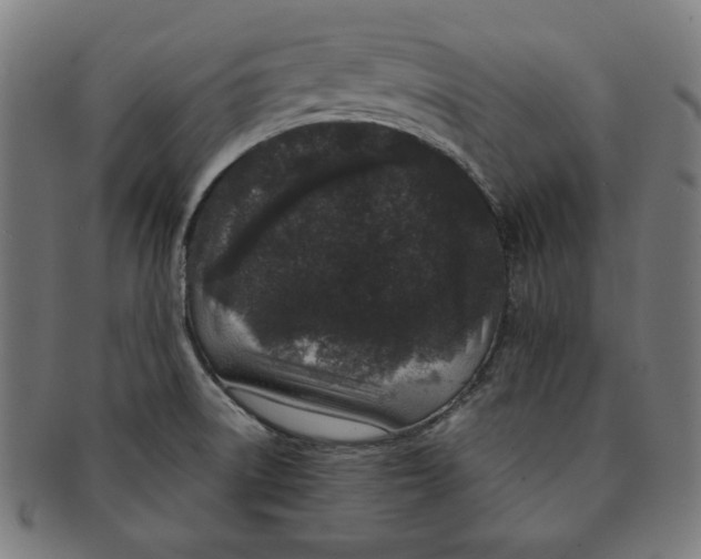 X0000091171522200709060923