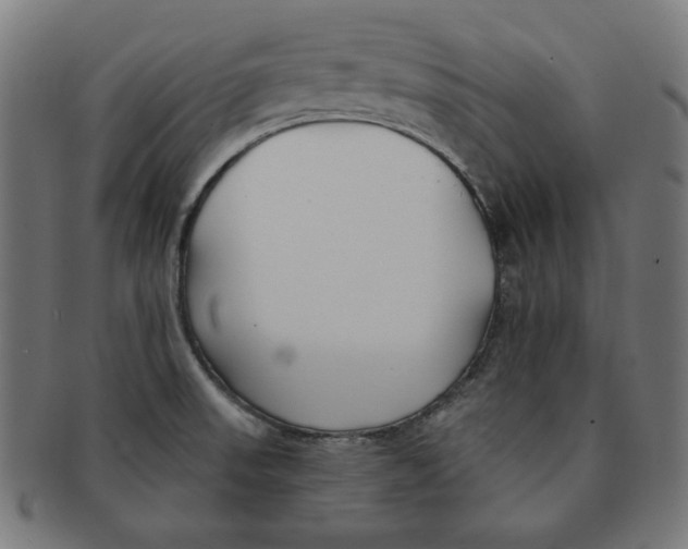 X0000091171523200709060923