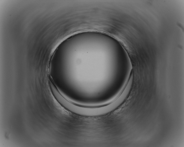 X0000091171524200709060923