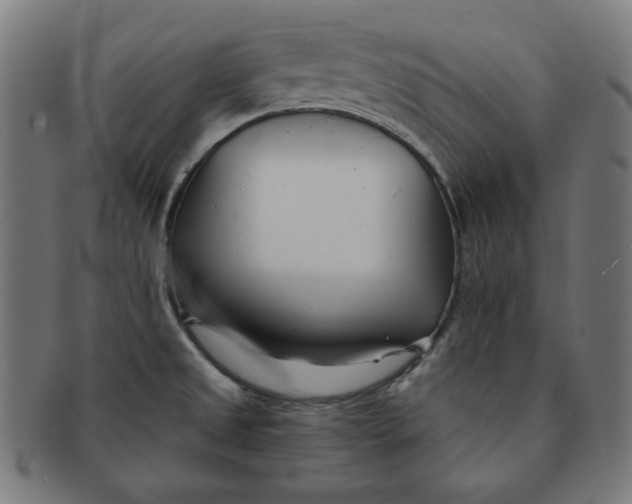 X0000091171525200709060923