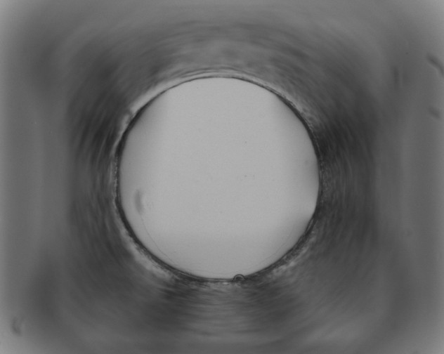 X0000091171526200709060923