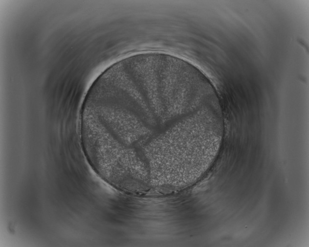 X0000091171527200709060923