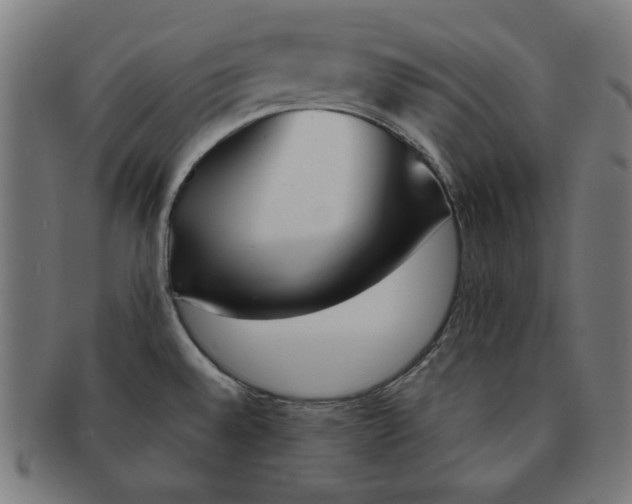 X0000091171528200709060923