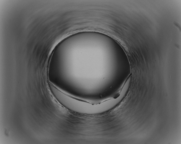 X0000091171530200709060923