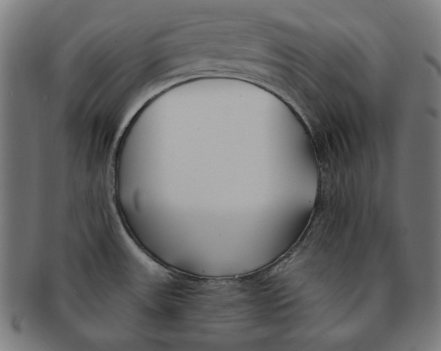 X0000091171531200709060923