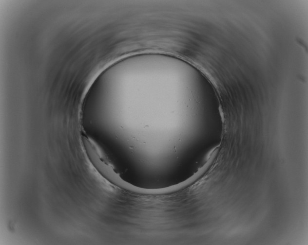 X0000091171532200709060923